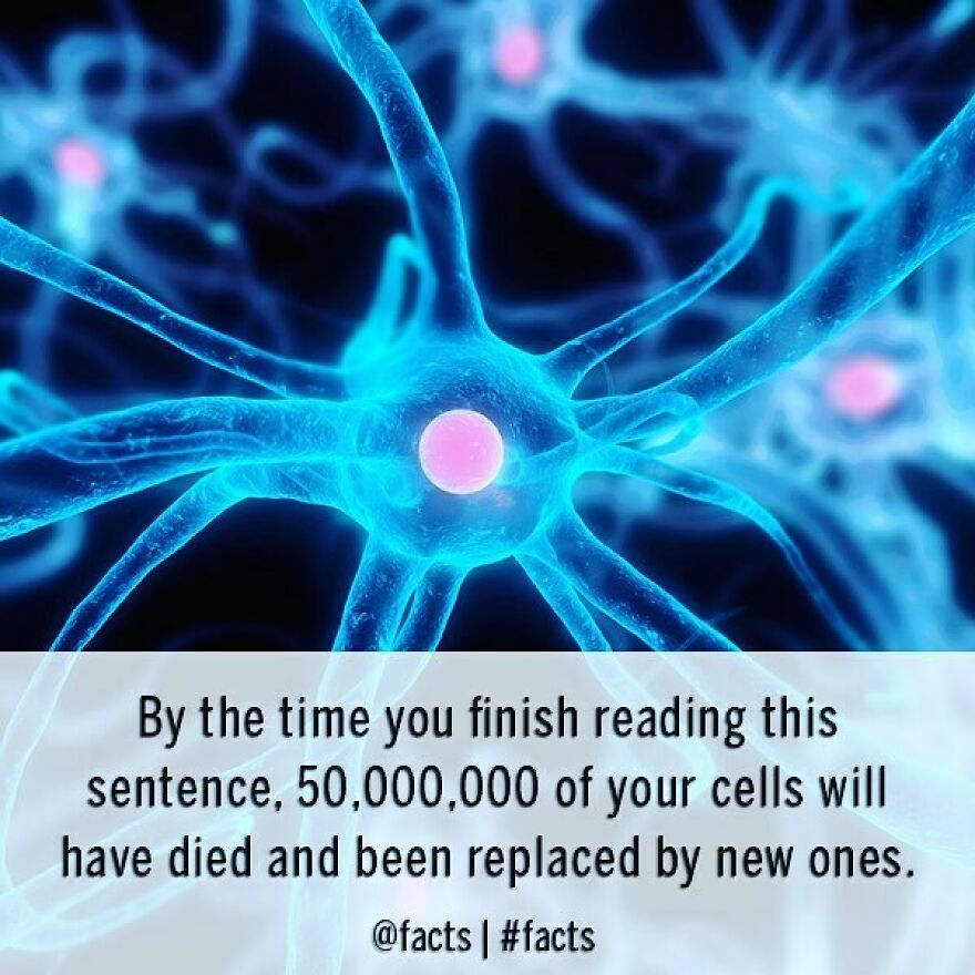 #facts #cells #science #body #replacement