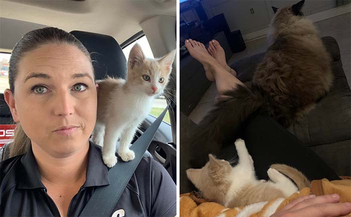 Found This Guy Under A Dumpster At Work. He Is Now Living His Best Life