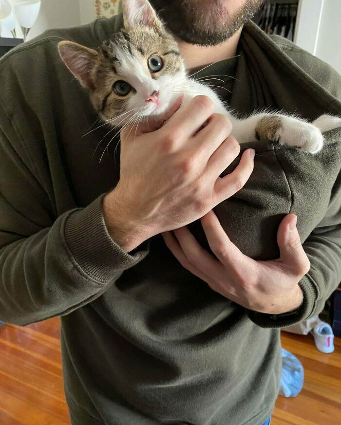 Mi novia consiguió a Toby por 5 dólares en un refugio. Los 5 dólares mejor gastados