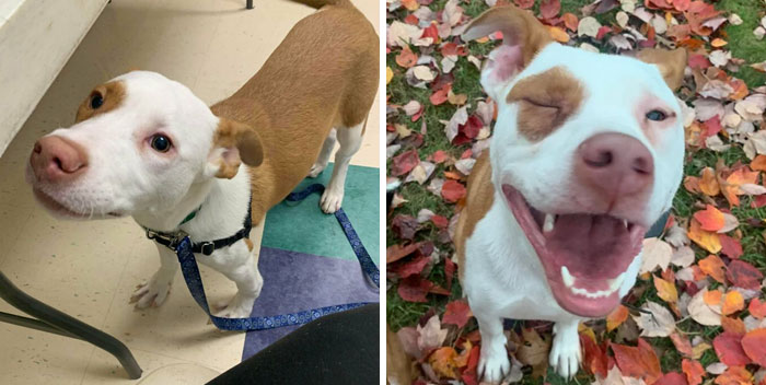 The Day Before Adoption And 11 Months Later 1 More Month Until Gotcha Day