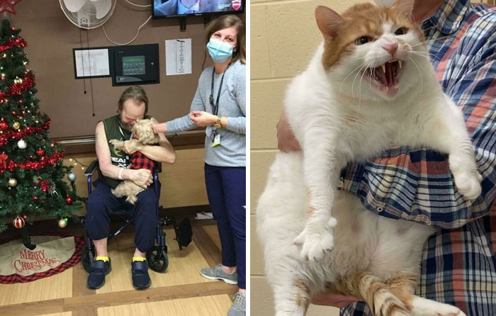 40 Fotos de mascotas rescatadas este mes de enero que curan el alma