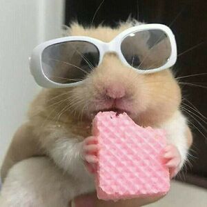 annapartamies avatar