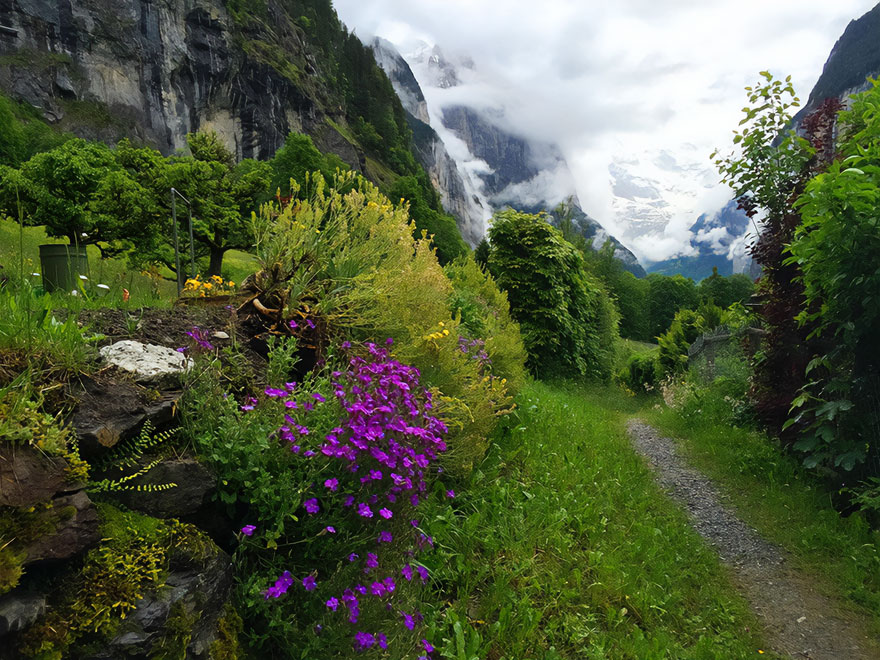 Beautiful scenery with vibrant flowers, a lush green path, and misty mountains in the background.