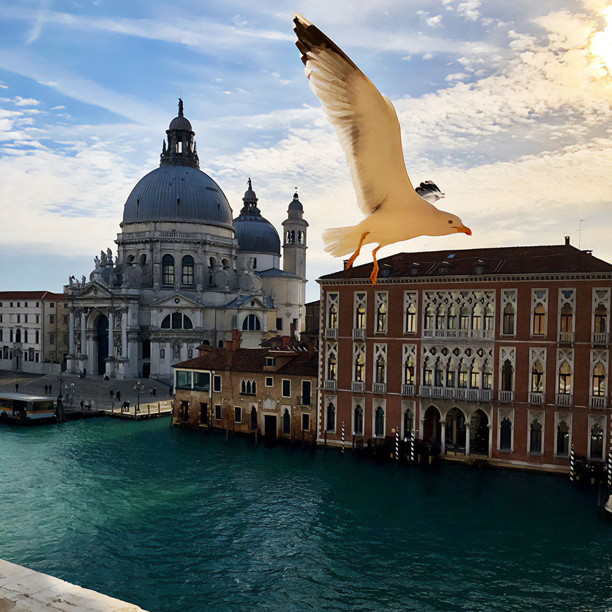 A seagull soaring over Venice's stunning scenery, with historic buildings and calm waters.