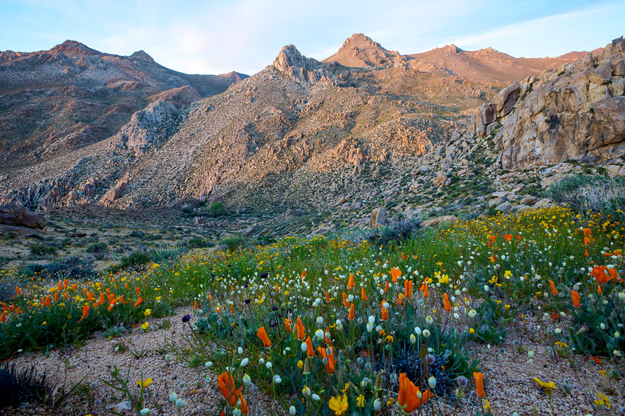 Owens Peak Wilderness