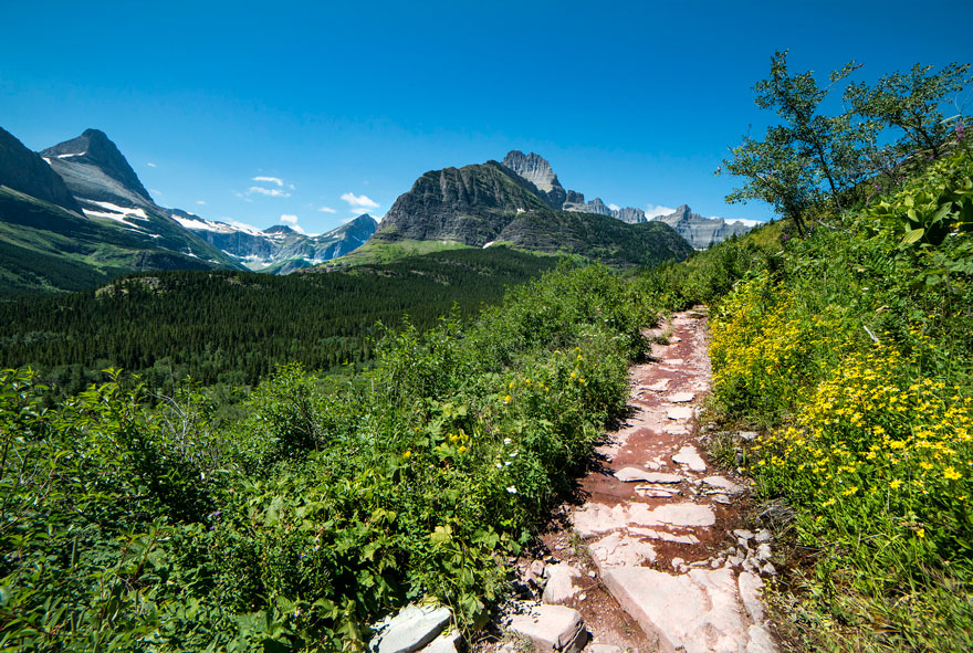 Iceberg Lake Trail
