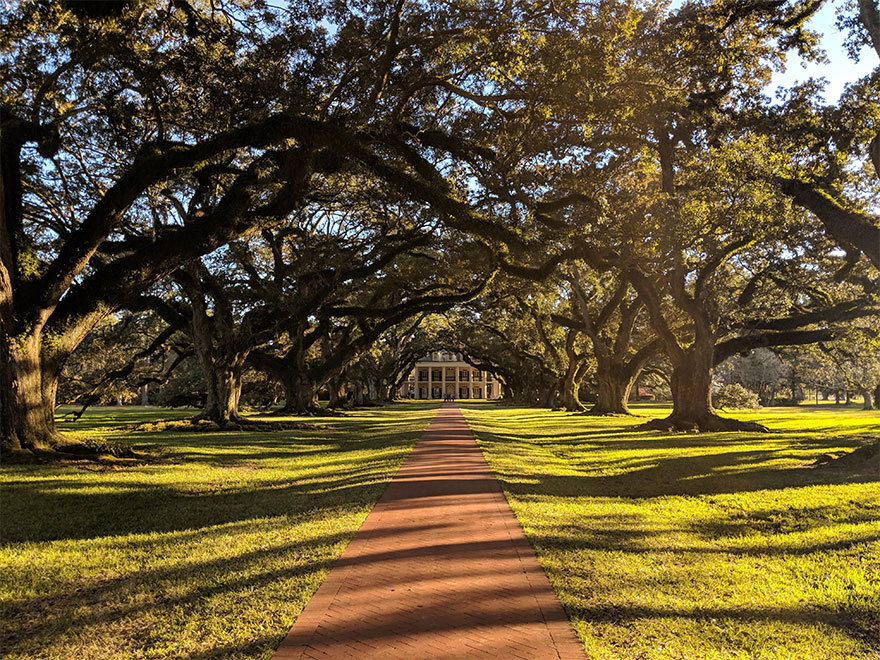 Oak Alley Plantation In Louisiana