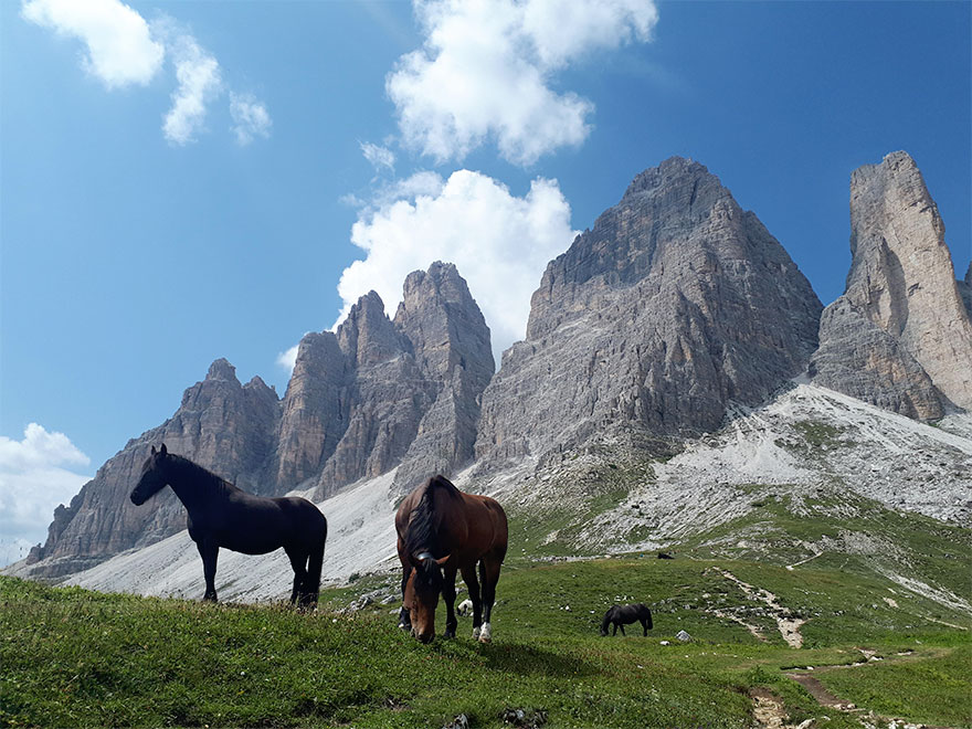 A Surreal Moment From A Recent Trip To The Dolomites In Italy