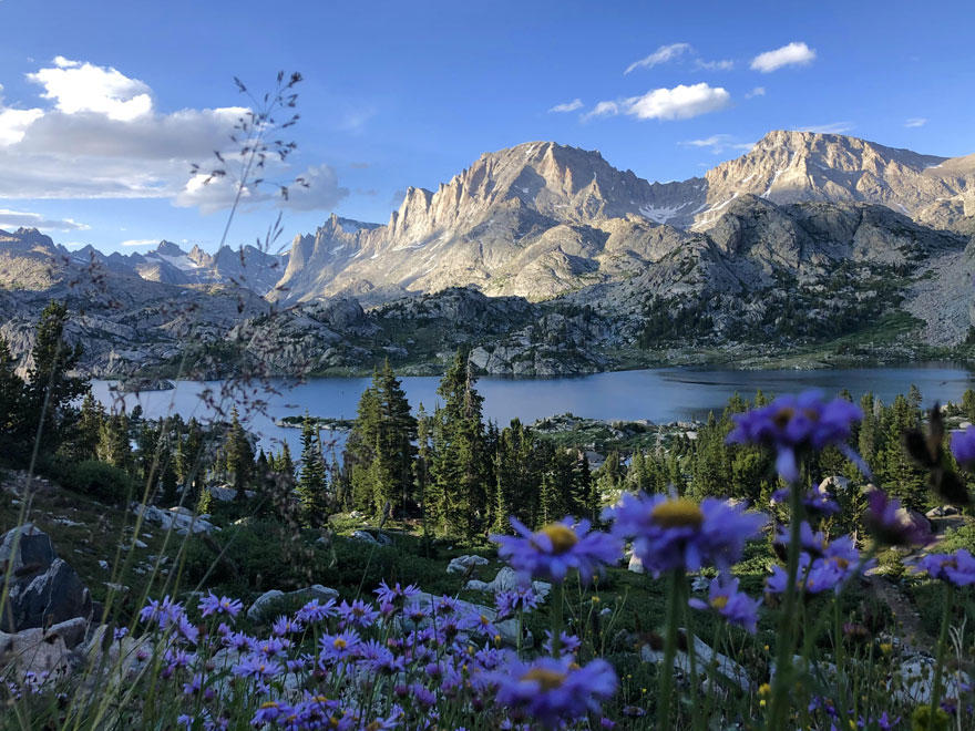 Beautiful scenery with a mountain backdrop, wildflowers in the foreground, and a serene lake under a blue sky.