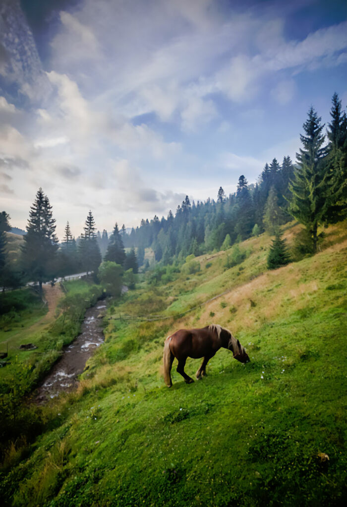 Vistas desde el balcón de un motel en Transilvania