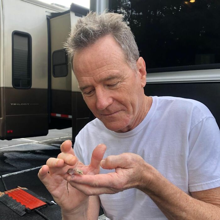 Actor carefully holding a small lizard, illustrating a moment of career revival for actors with a single role.