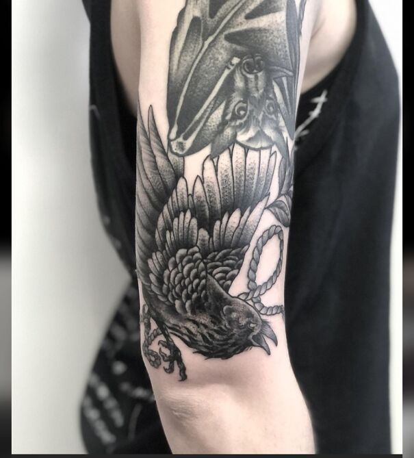 Black ink raven tattoo on arm, showcasing impressive new tattoos with intricate feather detail.