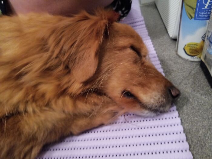 Can't Hear The Fireworks In The Bathroom!