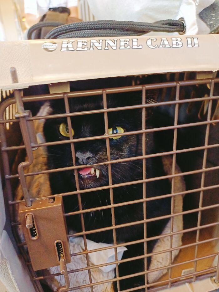 Not A Big Fan Of Traveling