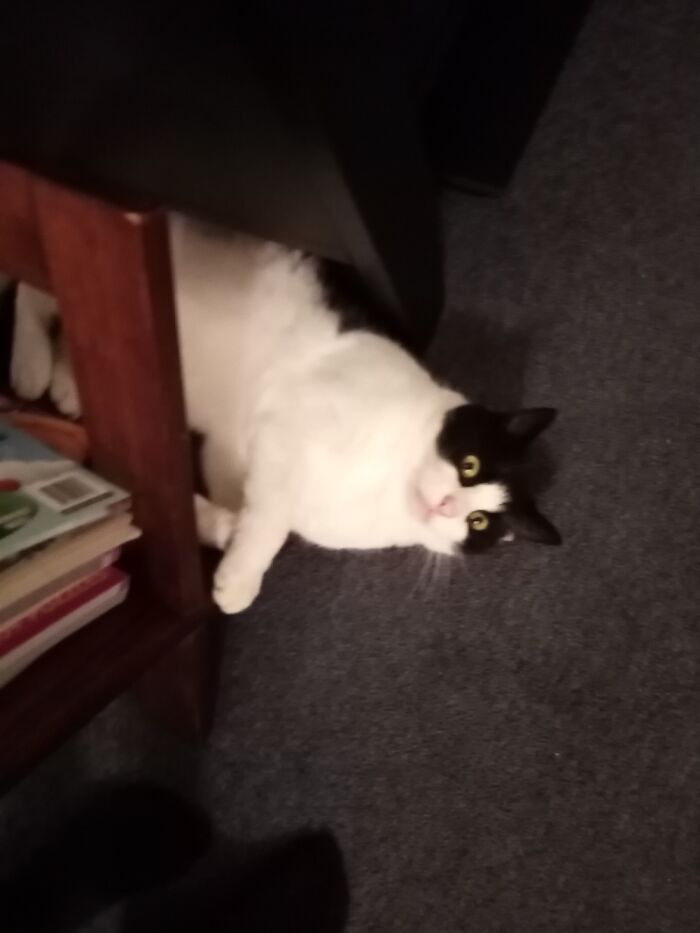 He Sees A Whole Other World.