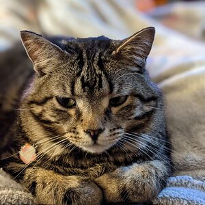 katherinecook avatar