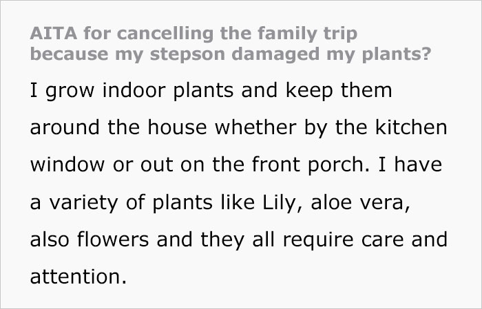 16 Y.O. Stepson Deliberately Waters His Stepdad&rsquo;s Plants With Bleach, Stepdad Cancels Their Family Trip To Discipline Him