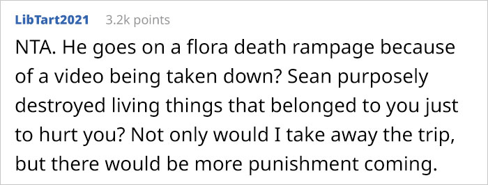 16 Y.O. Stepson Deliberately Waters His Stepdad&rsquo;s Plants With Bleach, Stepdad Cancels Their Family Trip To Discipline Him