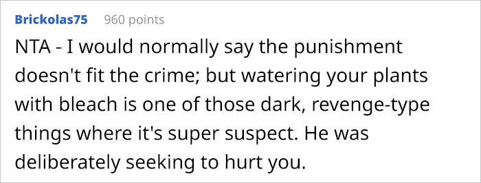 16 Y.O. Stepson Deliberately Waters His Stepdad&rsquo;s Plants With Bleach, Stepdad Cancels Their Family Trip To Discipline Him