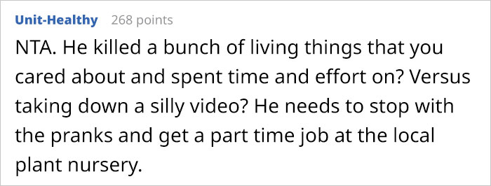 16 Y.O. Stepson Deliberately Waters His Stepdad&rsquo;s Plants With Bleach, Stepdad Cancels Their Family Trip To Discipline Him