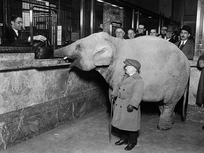 Someone Online Asked, “Who Is The Most Famous Person In Your Family?”, And 30 Delivered