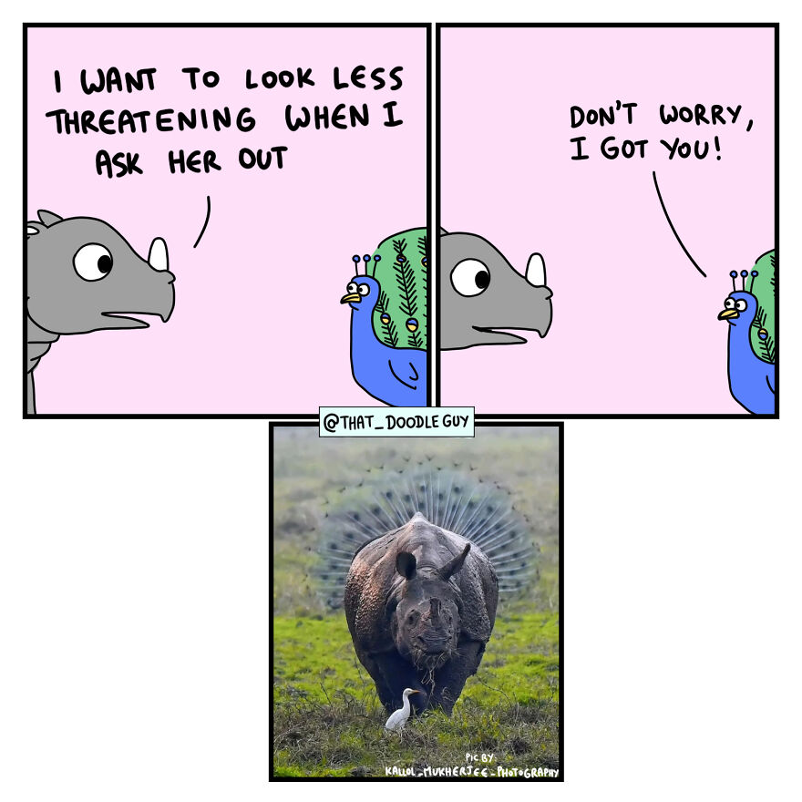 10 Comics That Show Wholesome Backstory Of These Real Animal Pictures!