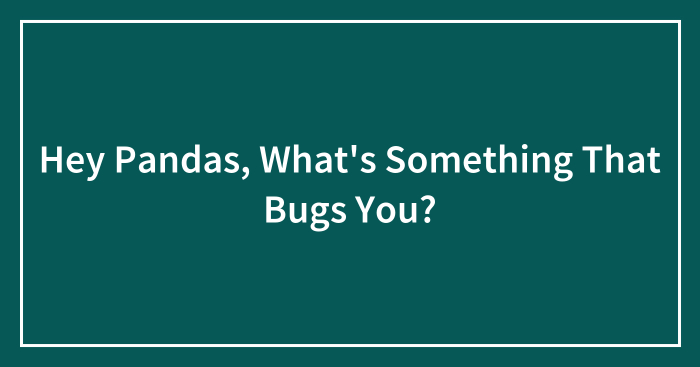 Hey Pandas, What’s Something That Bugs You? (Closed)