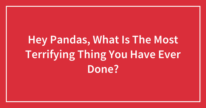 Hey Pandas, What Is The Most Terrifying Thing You Have Ever Done? (Closed)