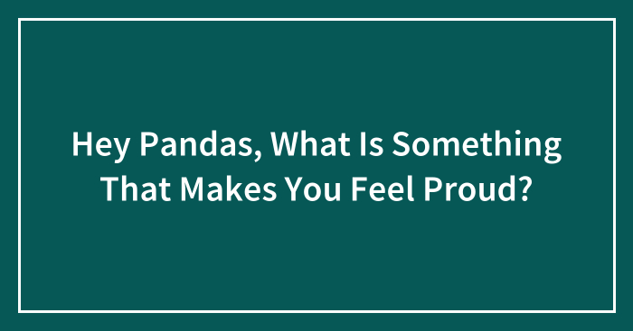 Hey Pandas, What Is Something That Makes You Feel Proud? (Closed)