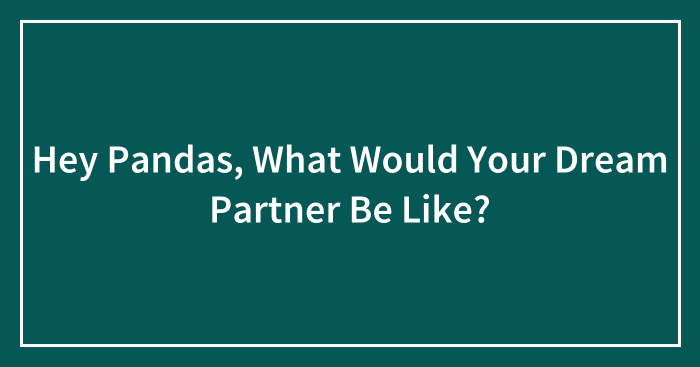 Hey Pandas, What Would Your Dream Partner Be Like? (Closed)