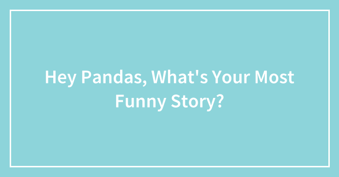 Hey Pandas, What’s Your Most Funny Story? (Closed)
