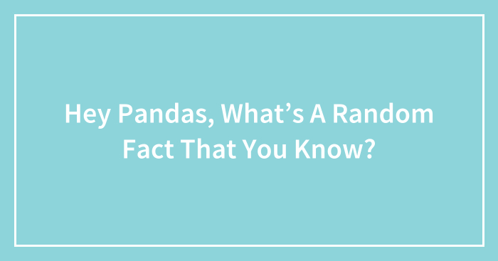 Hey Pandas, What’s A Random Fact That You Know? (Closed)
