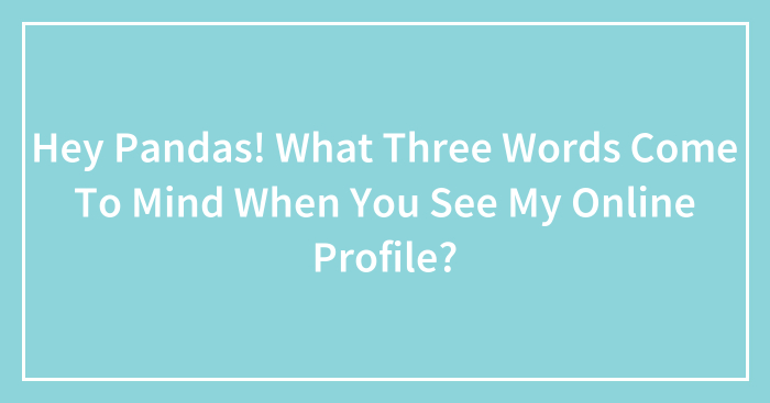 Hey Pandas! What Three Words Come To Mind When You See My Online Profile? (Closed)