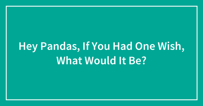 Hey Pandas, If You Had One Wish, What Would It Be? (Closed)