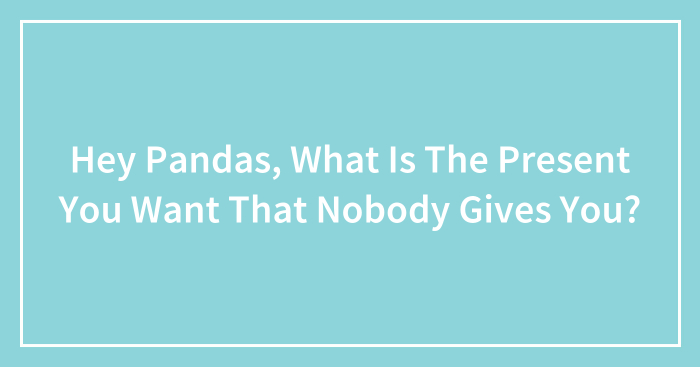 Hey Pandas, What Is The Present You Want That Nobody Gives You? (Closed)