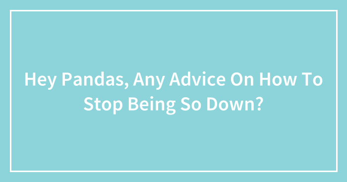 Hey Pandas, Any Advice On How To Stop Being So Down? (Closed)