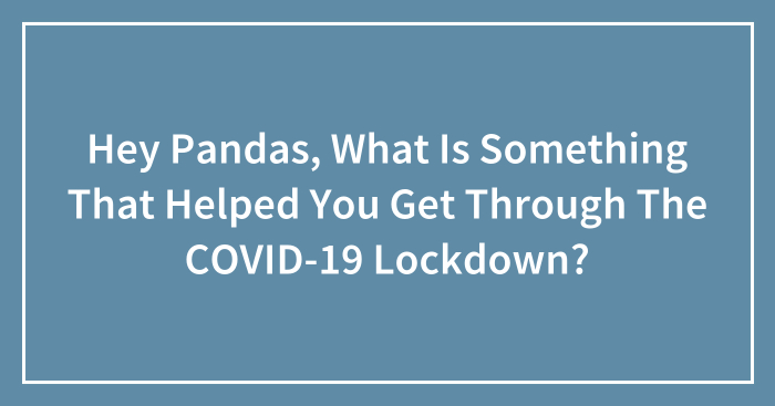 Hey Pandas, What Is Something That Helped You Get Through The COVID-19 Lockdown? (Closed)