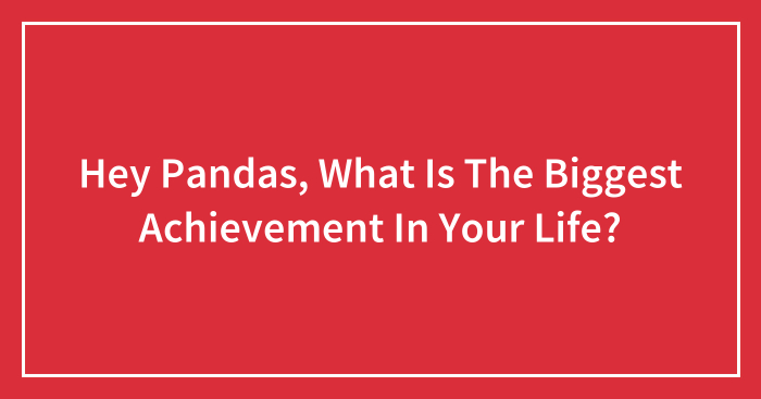 Hey Pandas, What Is The Biggest Achievement In Your Life?