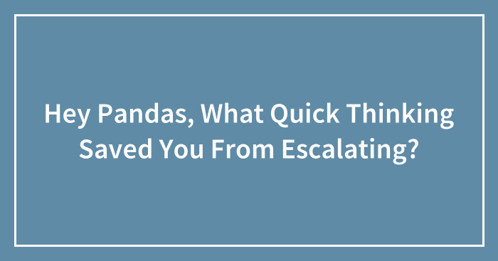 Hey Pandas, What Quick Thinking Saved You From Escalating?