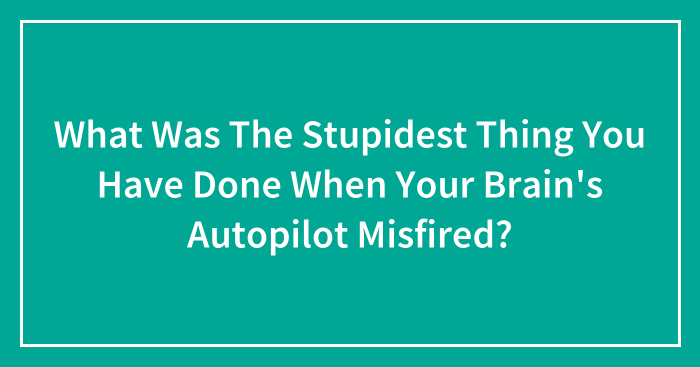 Hey Pandas, What Was The Stupidest Thing You Have Done When Your Brain’s Autopilot Misfired? (Closed)