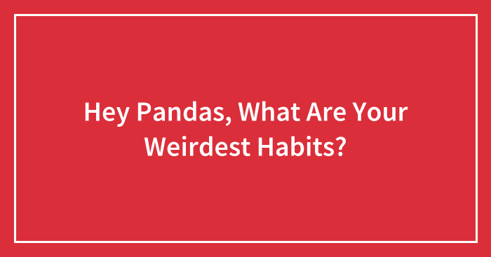 Hey Pandas, What Are Your Weirdest Habits?