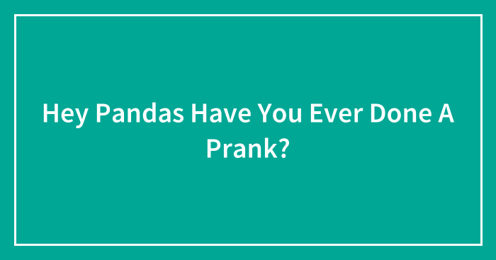 Hey Pandas Have You Ever Done A Prank?