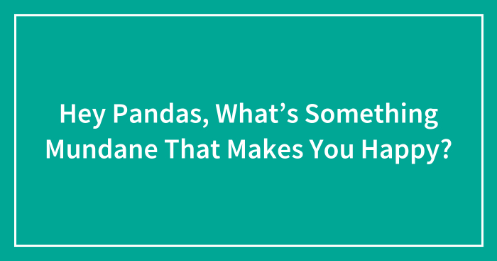 Hey Pandas, What’s Something Mundane That Makes You Happy?