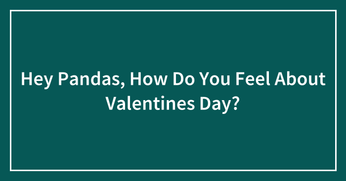 Hey Pandas, How Do You Feel About Valentines Day? (Closed)
