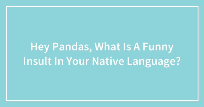 Hey Pandas, What Is A Funny Insult In Your Native Language? (Closed)