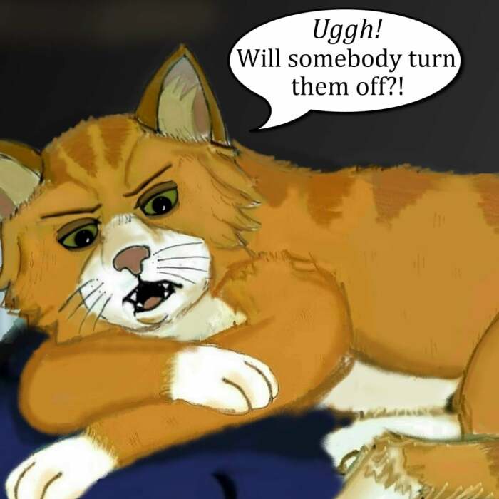 Little Surprises Pt II And III Of My Comics