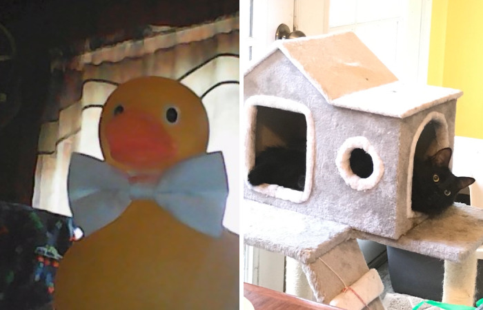 Hey Pandas, Have You Ever Found Something That Just Begged You To Buy It? If So, Post It Here (Closed)