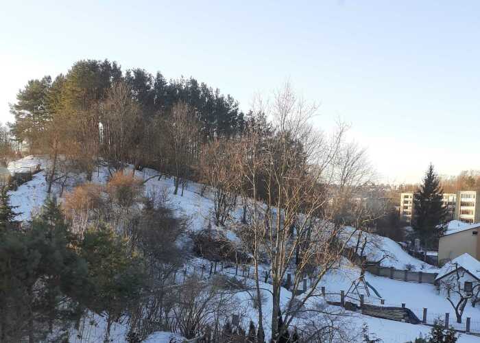 Hey Pandas, Post A Picture Of Your 2022 Snow Day (Closed)