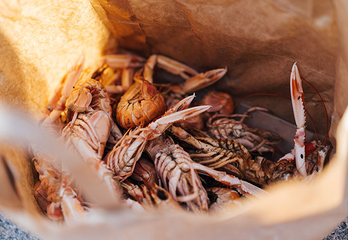 People Are Sharing Their Public Transportation Horror Stories, And Here’re 30 Of The Creepiest Ones