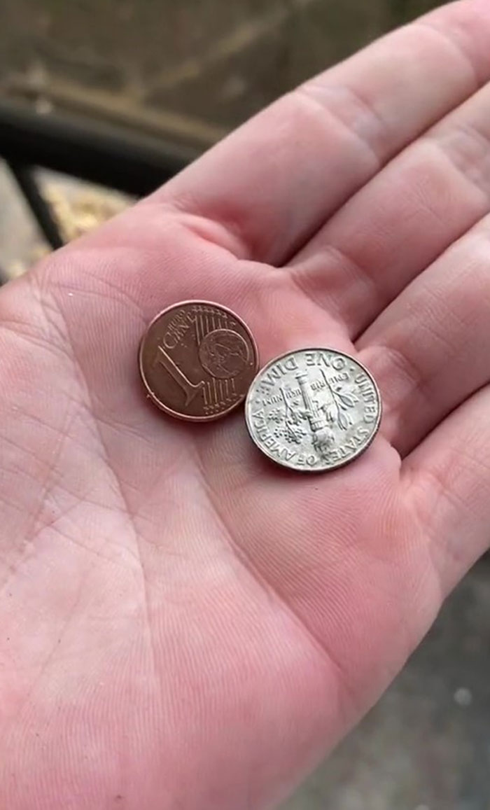 This Woman Befriended The Crows And Now Receives The Most Random Gifts As A Token Of Appreciation